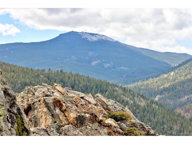 263 Barrows Ranch Rd, Evergreen, CO 80439