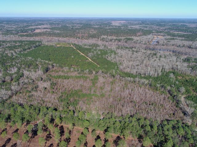 5510 Mauss Hill Road, Adams Run, SC 29426