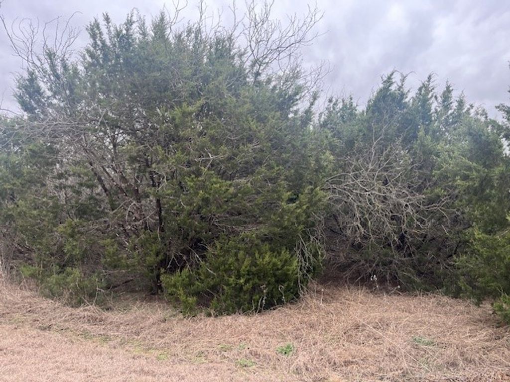 36047 Cedar Ridge Drive, Whitney, TX 76692