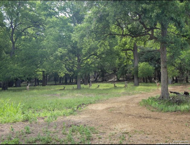 714 CABALLO TRL, Canyon Lake, TX 78133