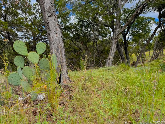 714 CABALLO TRL, Canyon Lake, TX 78133