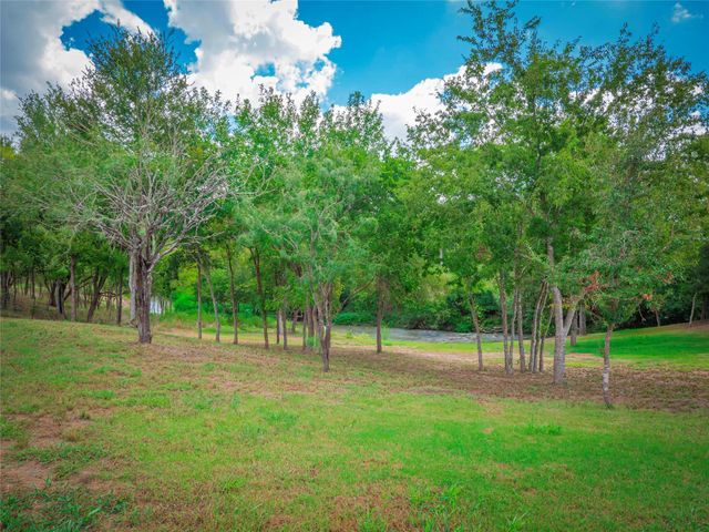1721 County Road 429, Rockdale, TX 76567