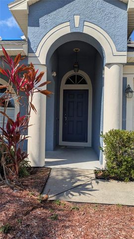 14626 CORKWOOD DRIVE, Tampa, FL 33626