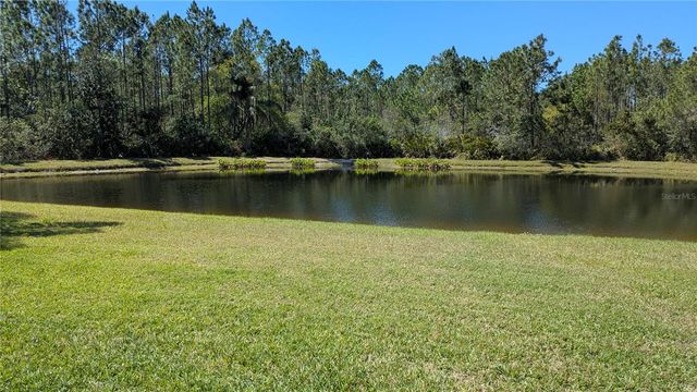 14626 CORKWOOD DRIVE, Tampa, FL 33626