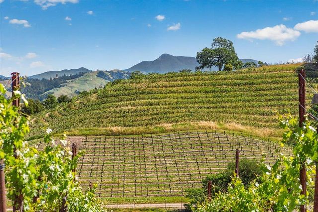 13404 Flora Ranch Rd, Healdsburg, CA 95448