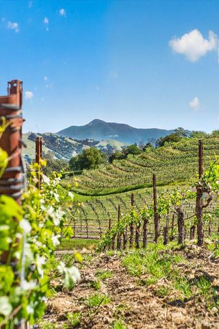 13404 Flora Ranch Rd, Healdsburg, CA 95448