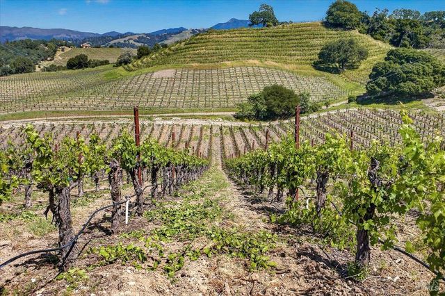 13404 Flora Ranch Rd, Healdsburg, CA 95448