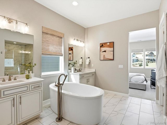 1015 Melting Snow Way, Castle Rock, CO 80109