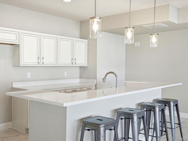 1015 Melting Snow Way, Castle Rock, CO 80109