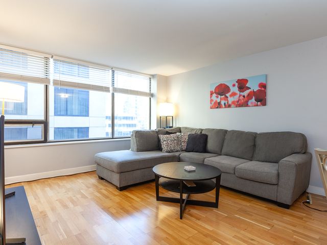 233 E Erie Street 1907, Chicago, IL 60611