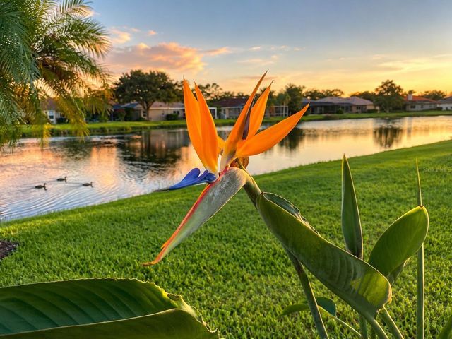 7468 ROXYE LANE, Sarasota, FL 34240