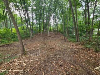 LOt 36 Lakeview Street, Harrison, MI 48625