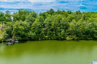 7.76 acres COUNTY ROAD 2564, Wedowee, AL 36278