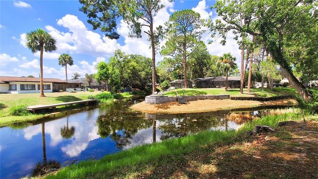 40 SE CHINICA DRIVE, Summerfield, FL 34491