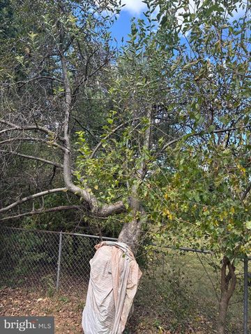 8310 ROLLING RD, Manassas, VA 20110