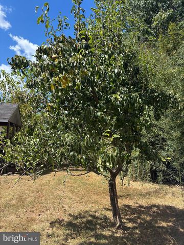 8310 ROLLING RD, Manassas, VA 20110