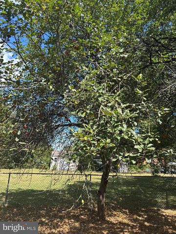 8310 ROLLING RD, Manassas, VA 20110