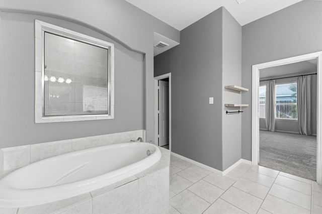 1123 Great Grey Owl Court, Conroe, TX 77385