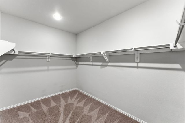 1123 Great Grey Owl Court, Conroe, TX 77385