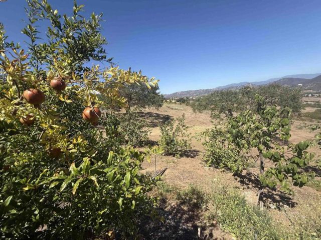 Hawks View, Fallbrook, CA 92028