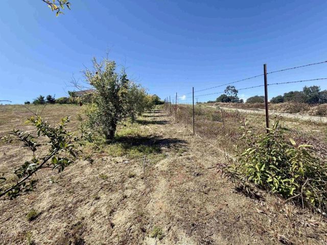 Hawks View, Fallbrook, CA 92028