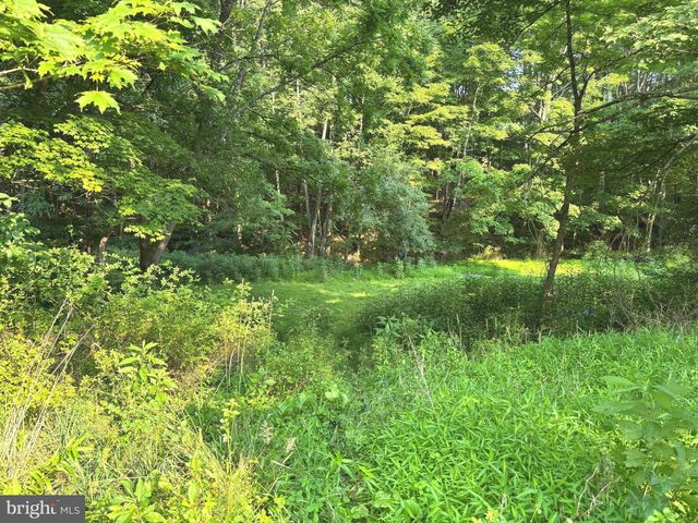 2600 MIDDLE COVE RD, Mathias, WV 26812
