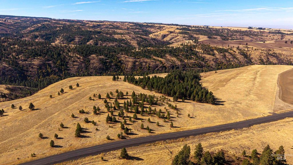 NKA Peola Road, Pomeroy, WA 99347 photo 2