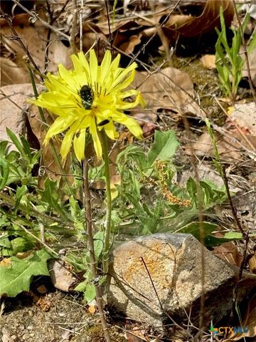 TBD Hudson Road, Smithville, TX 78957