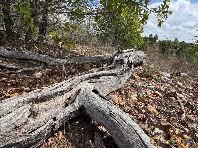 TBD Hudson Road, Smithville, TX 78957