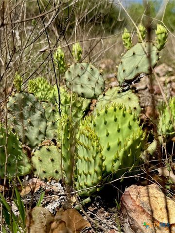 TBD Hudson Road, Smithville, TX 78957