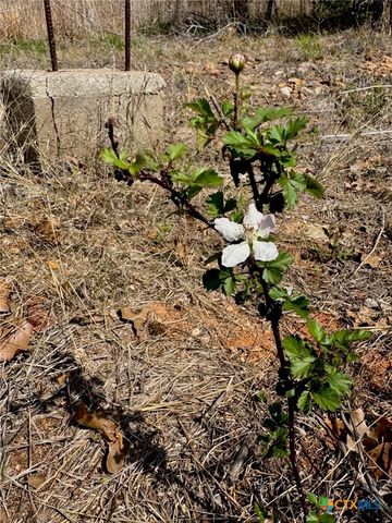 TBD Hudson Road, Smithville, TX 78957