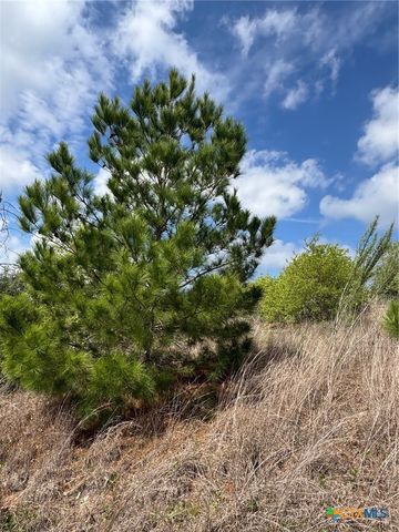 TBD Hudson Road, Smithville, TX 78957