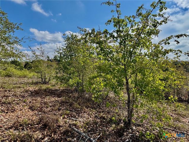 TBD Hudson Road, Smithville, TX 78957