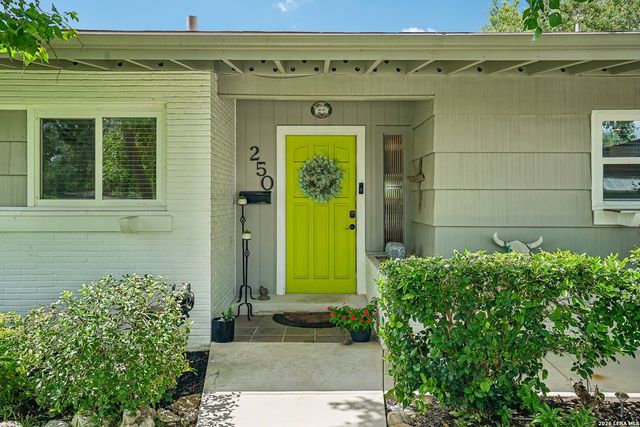 250 Springwood Ln, San Antonio, TX 78216