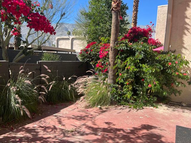 232 E Via Escuela C, Palm Springs, CA 92262