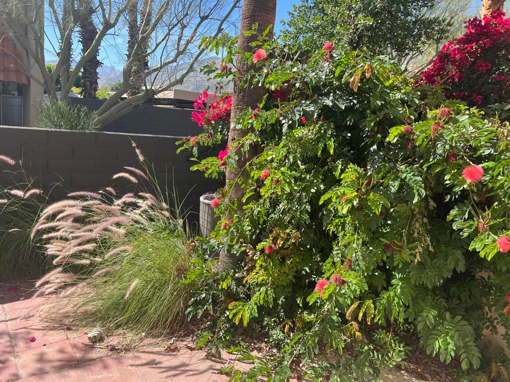 Image 29 of property listing at 232 E Via Escuela C, Palm Springs, CA 92262