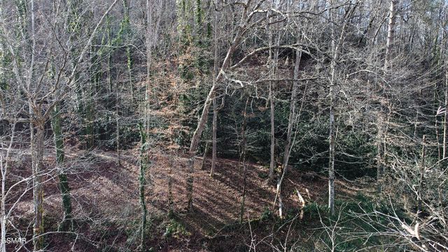 17 Twin Pines Way, Sevierville, TN 37876