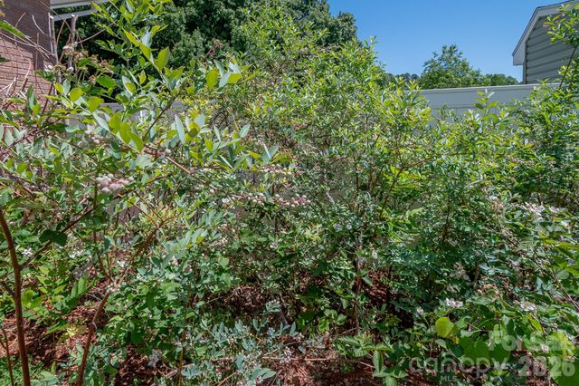 44446 Field Road, New London, NC 28127
