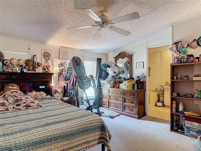 229 E BROAD STREET, Pierson, FL 32180