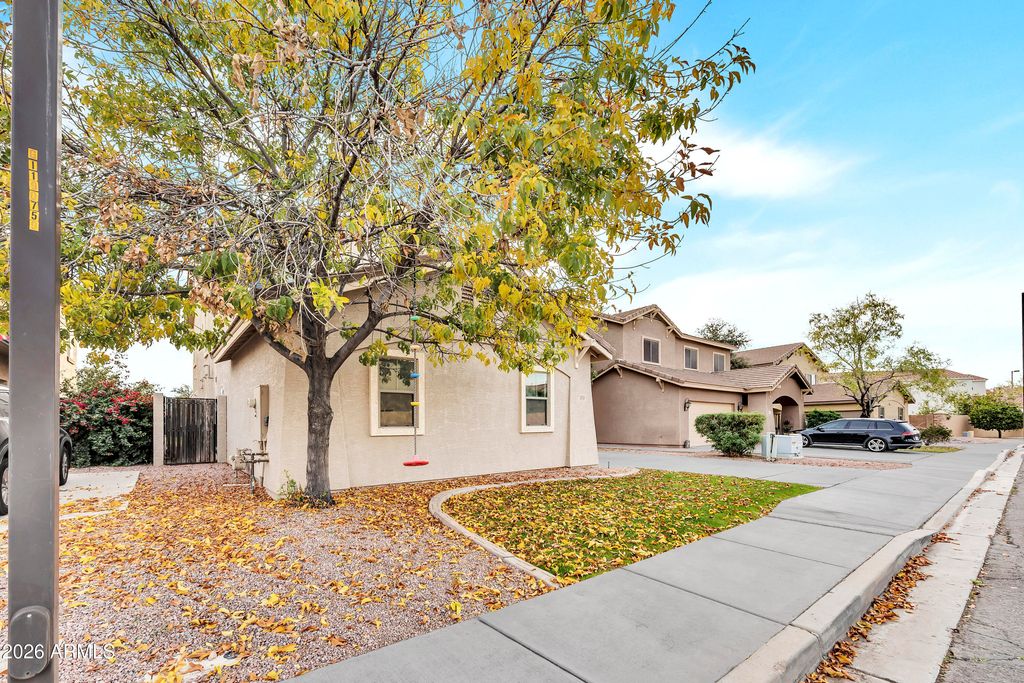 3533 E FLOWER Street, Gilbert, AZ 85298 — photo 3