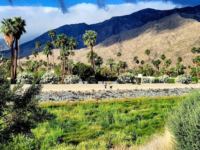 1272 N Riverside Drive, Palm Springs, CA 92264