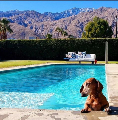 1272 N Riverside Drive, Palm Springs, CA 92264