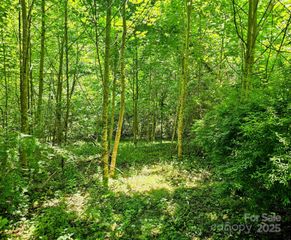 99 Banjo Branch Road, Burnsville, NC 28714