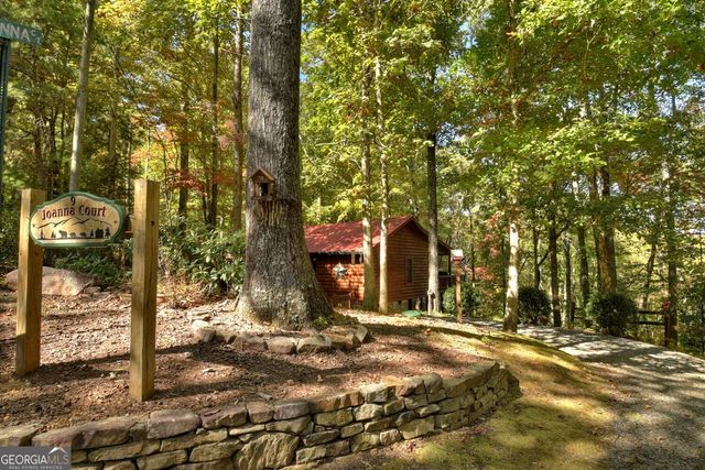9 Joanna Court, Cherry Log, GA 30522