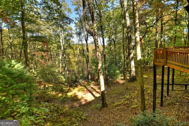 9 Joanna Court, Cherry Log, GA 30522