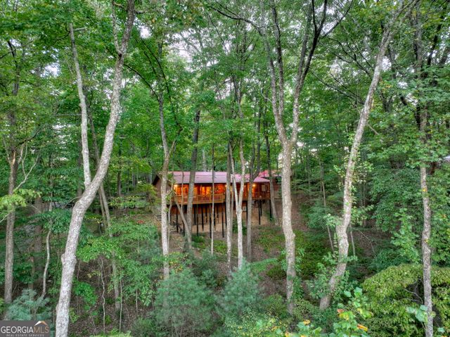 9 Joanna Court, Cherry Log, GA 30522