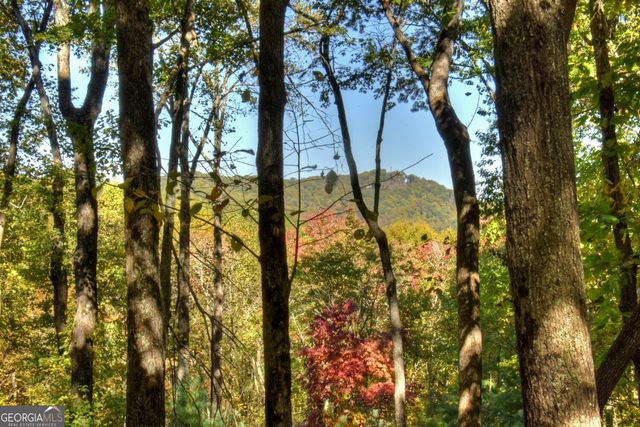 9 Joanna Court, Cherry Log, GA 30522