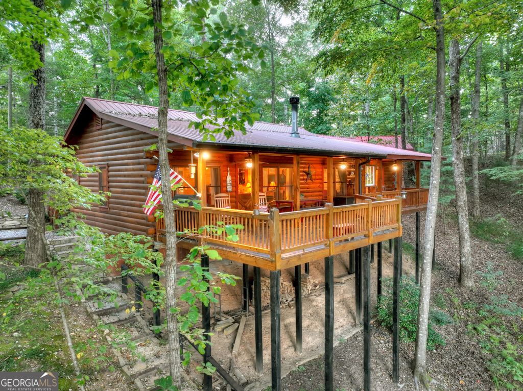 9 Joanna Court, Cherry Log, GA 30522