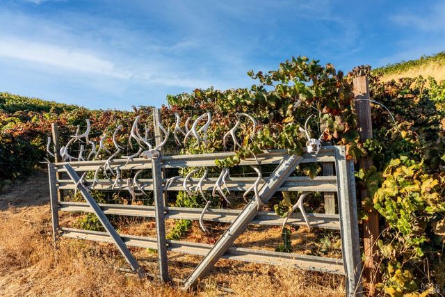 5700 Old River Rd, Ukiah, CA 95482