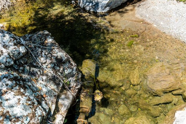 5700 Old River Rd, Ukiah, CA 95482